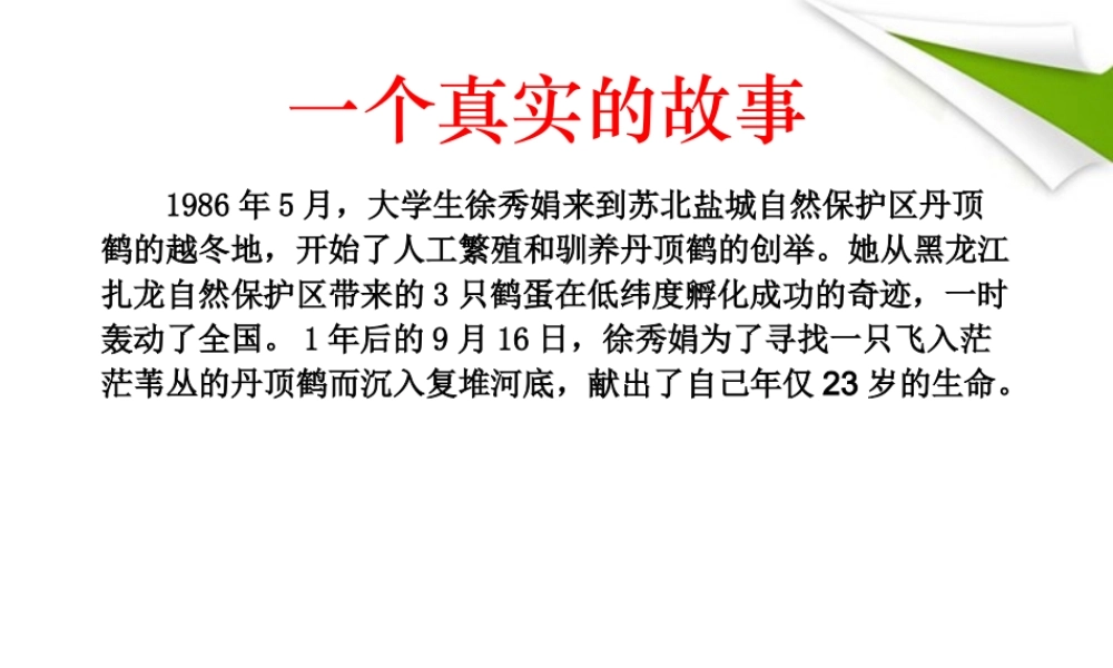 八年级语文上册 都市精灵课件 苏教版 课件