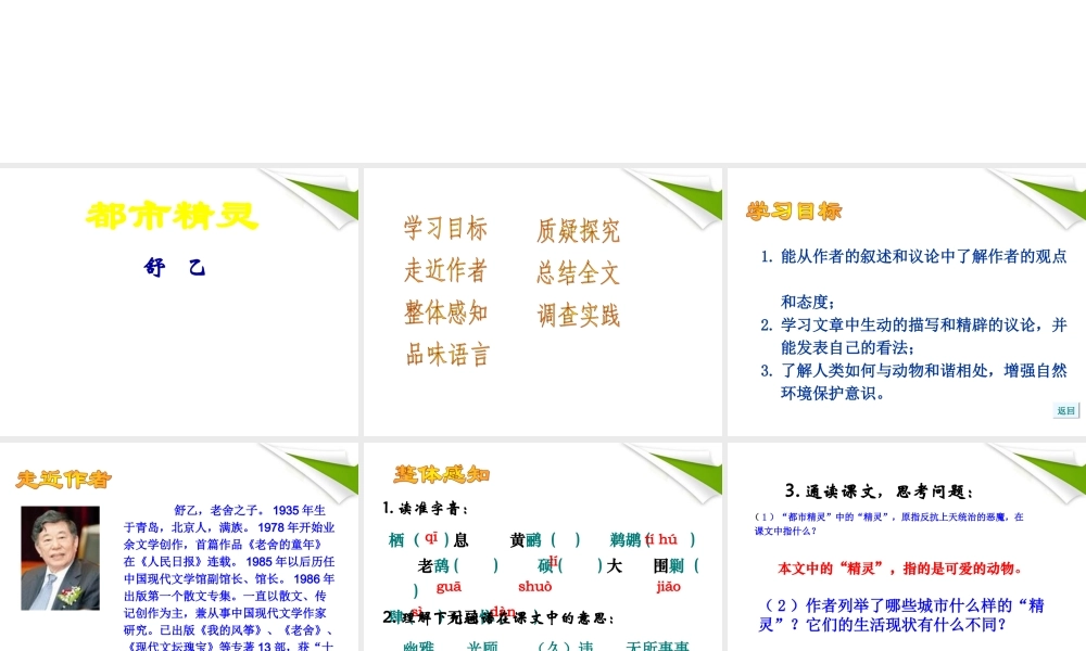 八年级语文上册 都市精灵课件 苏教版 课件