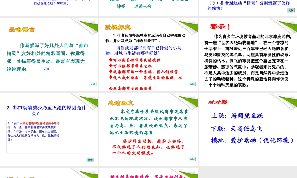 八年级语文上册 都市精灵课件 苏教版 课件