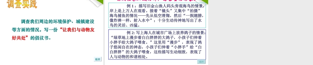 八年级语文上册 都市精灵课件 苏教版 课件