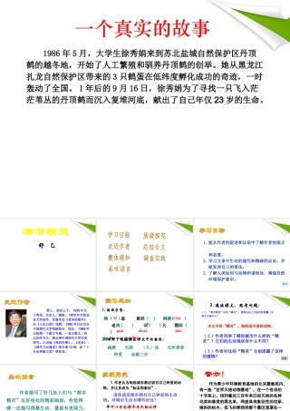 八年级语文上册 都市精灵课件 苏教版 课件