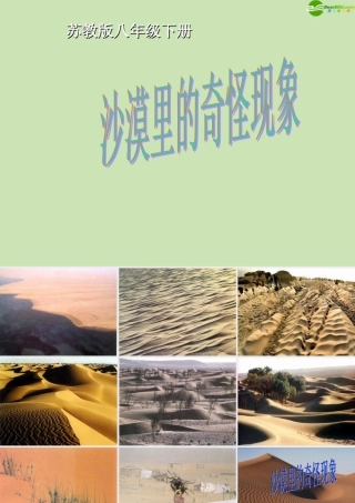 八年级语文下册 第11课(沙漠里的奇怪现象)课件 苏教版 课件