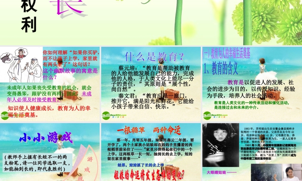 八年级政治下册 知识助我成长课件 人教新课标版 课件