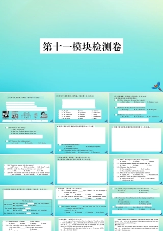 九年级英语上册 Module 11 Photos检测卷习题课件 (新版)外研版 课件