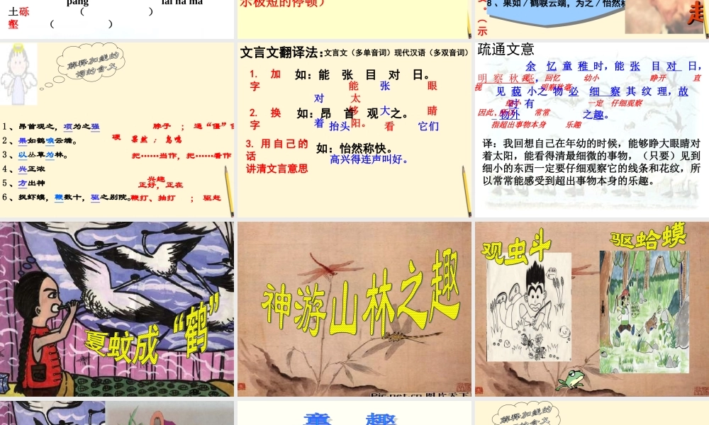 中学七年级语文(童趣)课件 人教新课标版 课件