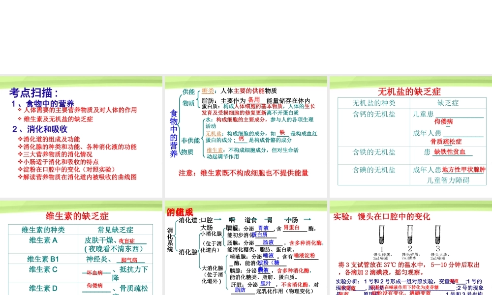 七年级生物 人体的营养复习课件 人教新课标版 课件