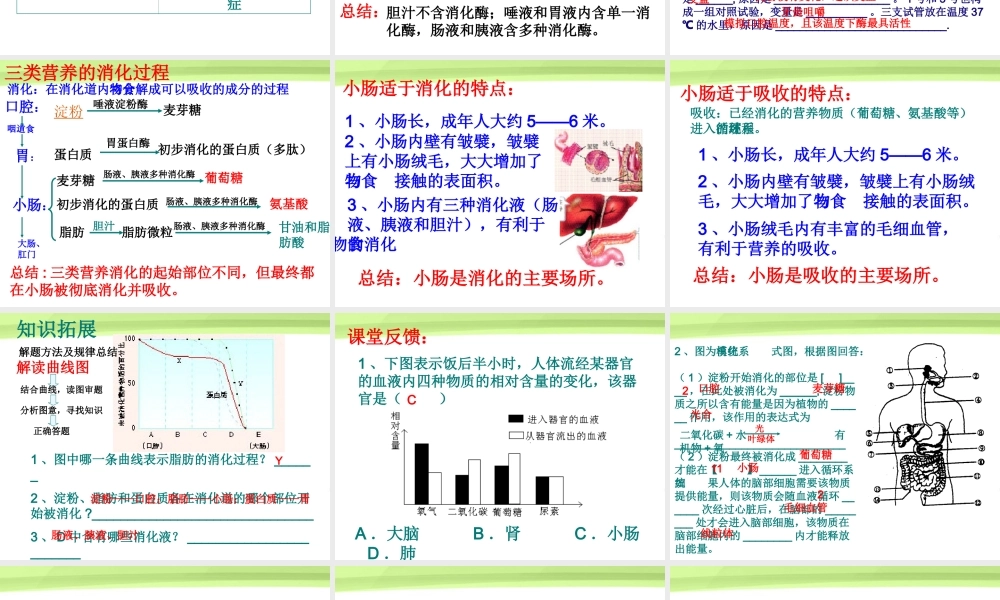 七年级生物 人体的营养复习课件 人教新课标版 课件