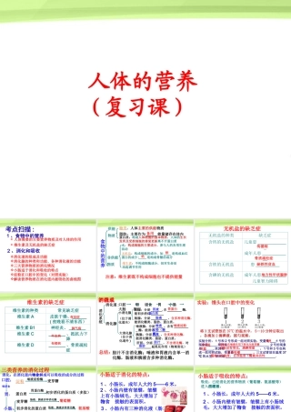 七年级生物 人体的营养复习课件 人教新课标版 课件