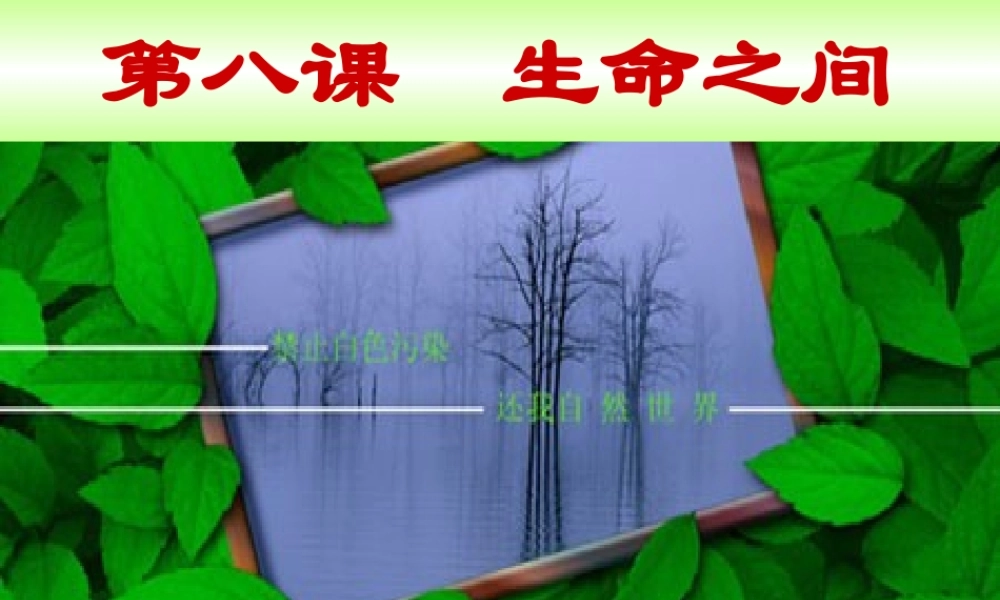 中学七年级政治第八课(神奇的生命世界)课件