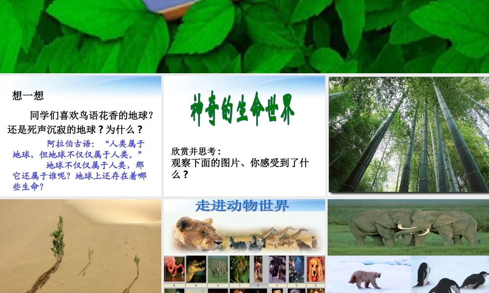 中学七年级政治第八课(神奇的生命世界)课件