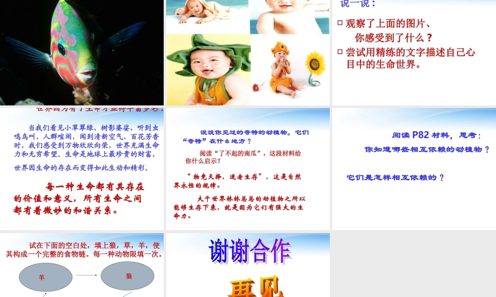 中学七年级政治第八课(神奇的生命世界)课件