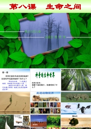 中学七年级政治第八课(神奇的生命世界)课件