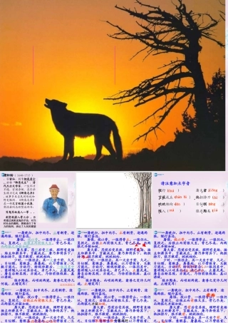 山东省泰安市七年级语文下册 30(狼)课件 新人教版 课件