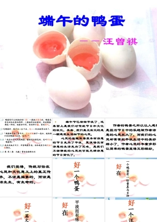 八年级语文上册 第2课(端午的鸭蛋)课件 鲁教版 课件