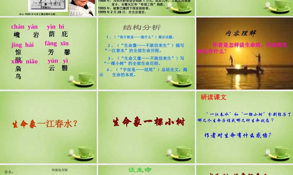 中学九年级语文下册 第9课(谈生命)课件 新人教版 课件