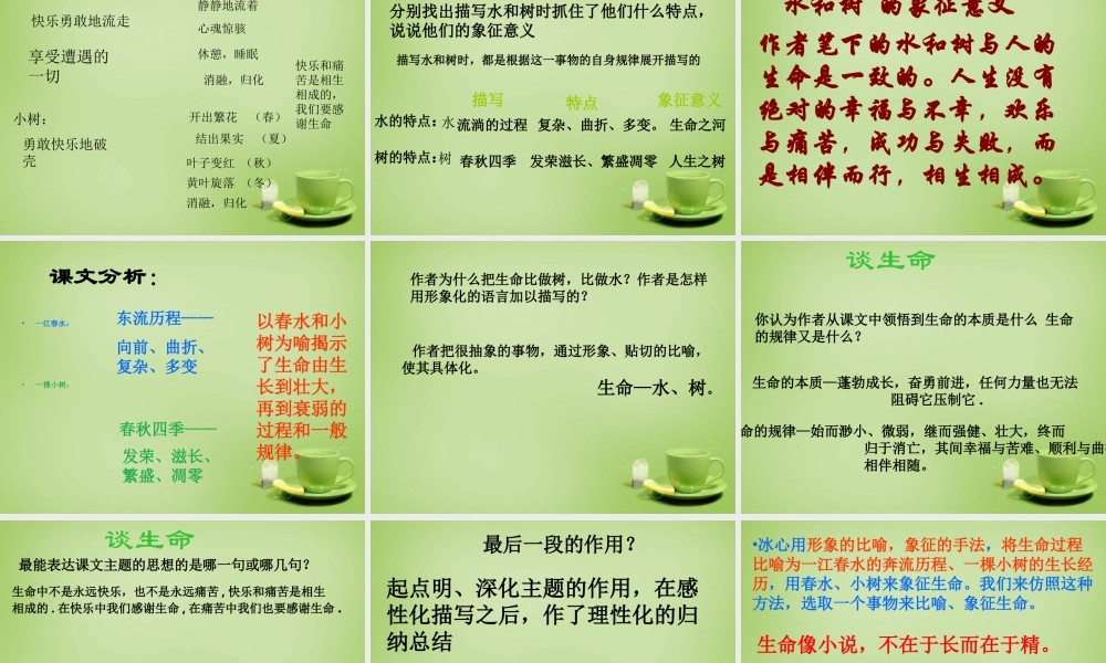 中学九年级语文下册 第9课(谈生命)课件 新人教版 课件