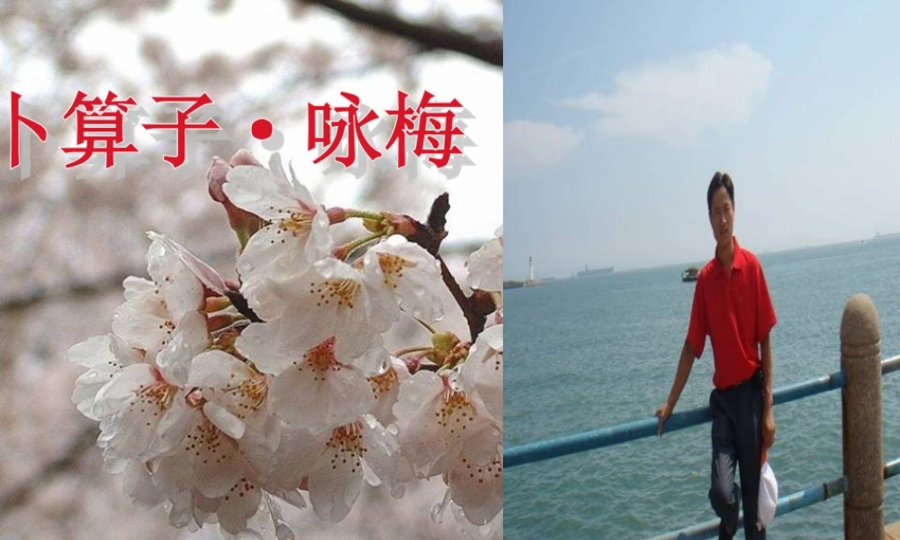 七年级语文下册(卜算子·咏梅)课件 苏教版 课件