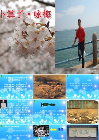 七年级语文下册(卜算子·咏梅)课件 苏教版 课件