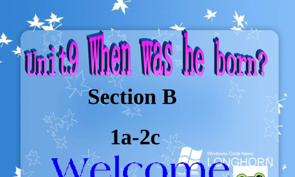 八年级英语上册  Unit 9 Section B 课件 人教新目标版 课件