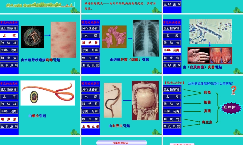 八年级生物下册 8.1.1 传染病及其预防课件(新版)新人教版 课件