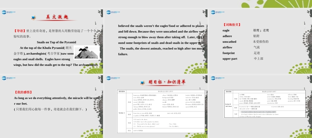 九年级英语全册 Unit 4 I used to be afraid of the dark课件 (新版)人教新目标版 课件