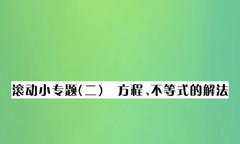中考数学复习 第二单元 方程与不等式 滚动小专题(二)方程、不等式的解法课件