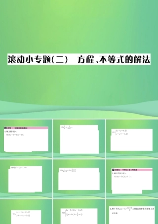 中考数学复习 第二单元 方程与不等式 滚动小专题(二)方程、不等式的解法课件