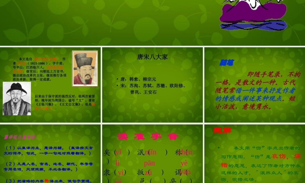 中学七年级语文下册 5(伤仲永)课件 新人教版 课件