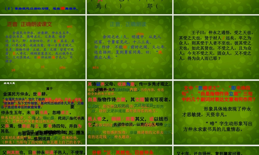 中学七年级语文下册 5(伤仲永)课件 新人教版 课件