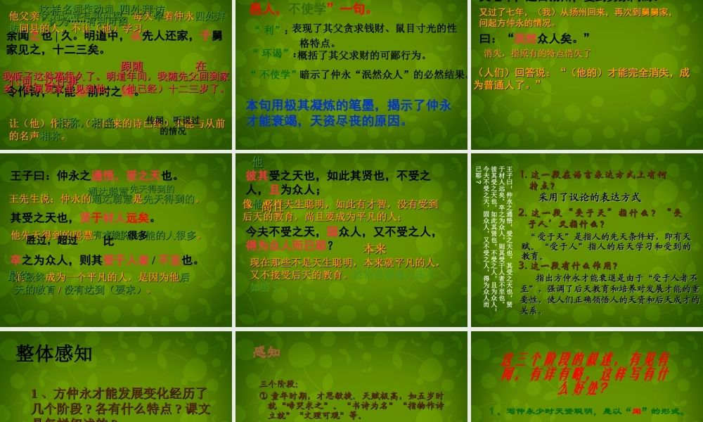 中学七年级语文下册 5(伤仲永)课件 新人教版 课件