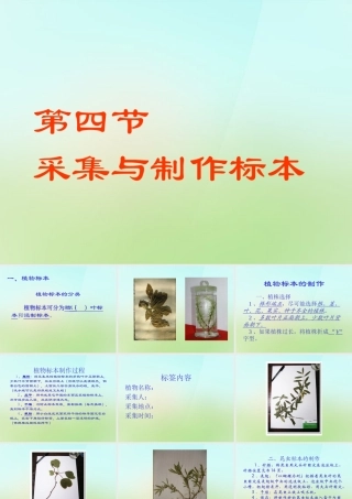 七年级生物上册 第一章 第4节(采集与制作标本)课件 冀教版 课件