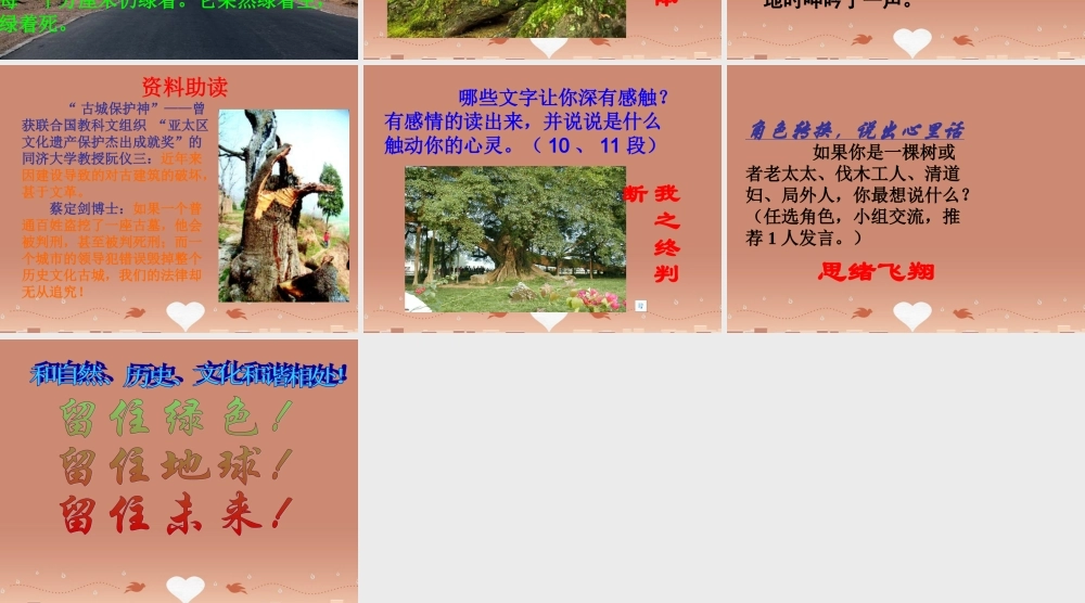 九年级语文下册 第三单元 10 那树课件 新人教版 课件