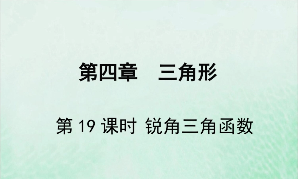 春中考数学复习 第4章 三角形 第19课时 锐角三角函数课件