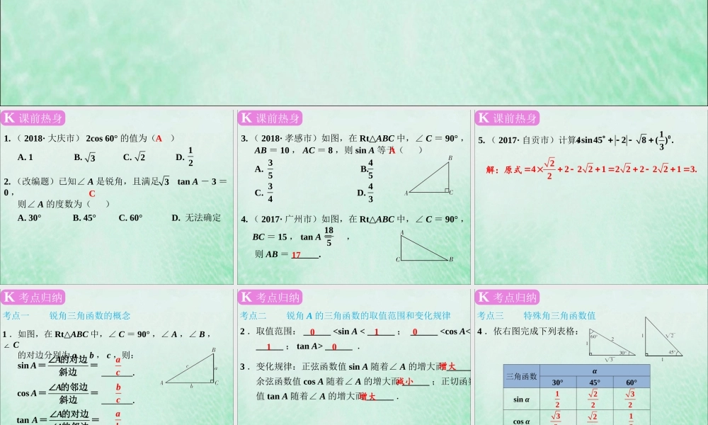 春中考数学复习 第4章 三角形 第19课时 锐角三角函数课件