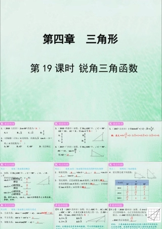 春中考数学复习 第4章 三角形 第19课时 锐角三角函数课件