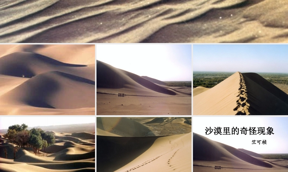 八年级语文下册(沙漠里的奇怪现象)教学课件 苏教版 课件