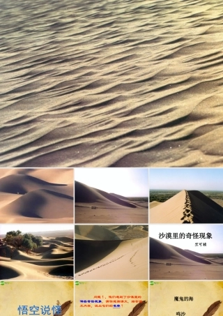 八年级语文下册(沙漠里的奇怪现象)教学课件 苏教版 课件