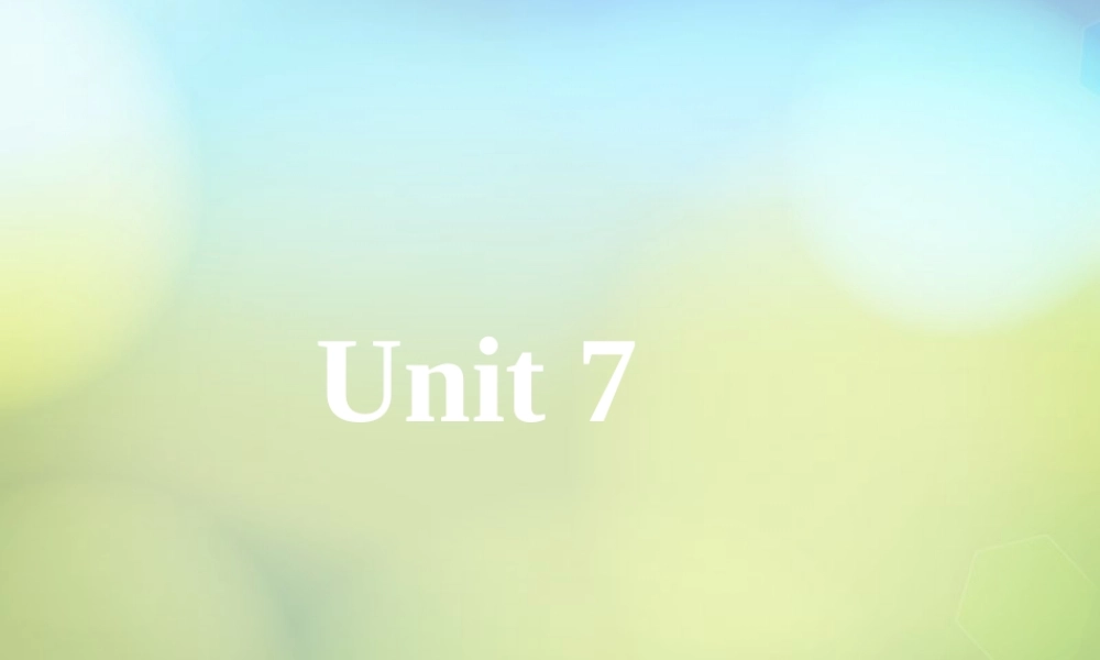七年级英语上册 Unit 7 How much are these socks Section B 2课件 (新版)人教新目标版 课件