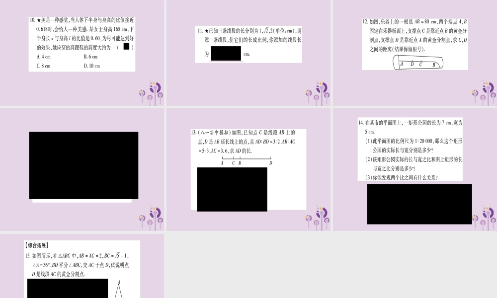 九年级数学上册 第3章 图形的相似 31 比例线段 312 成比例线段作业课件 (新版)湘教版 课件