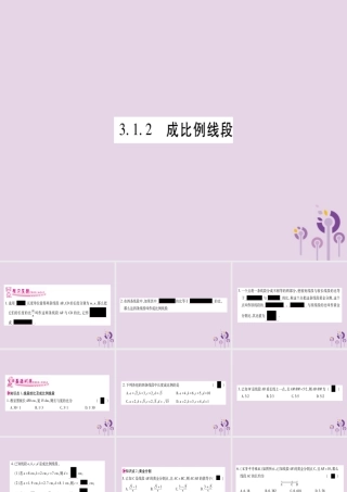 九年级数学上册 第3章 图形的相似 31 比例线段 312 成比例线段作业课件 (新版)湘教版 课件