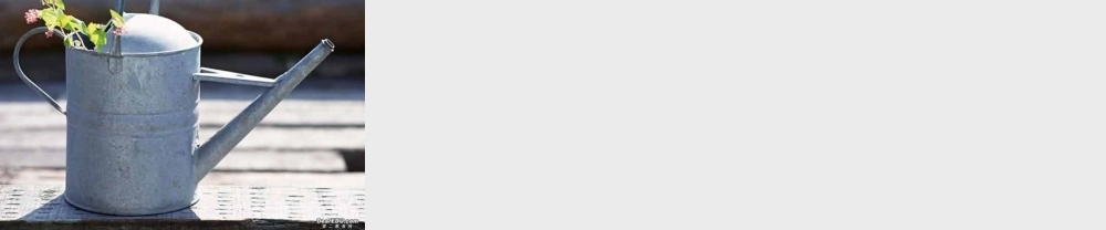 人教版高一英语定语从句专项练习0 试题