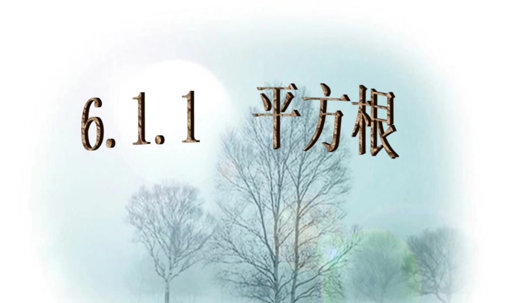 中学七年级数学下册 6.1 平方根课件 (新版)新人教版 课件