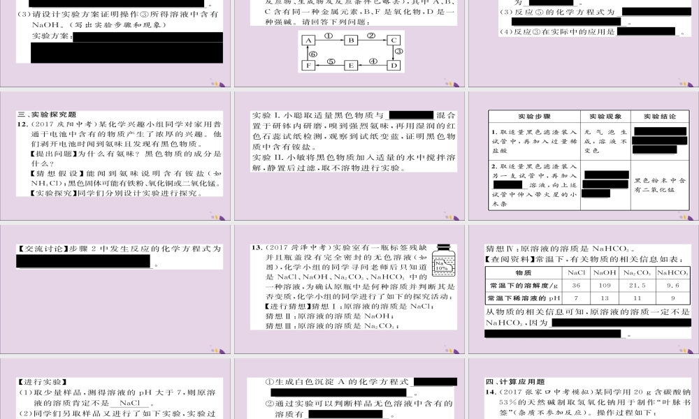 中考化学复习 第一编 教材知识梳理篇 模块一 身边的化学物质 课时8 盐 化肥课件