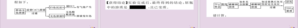 中考化学复习 第一编 教材知识梳理篇 模块一 身边的化学物质 课时8 盐 化肥课件