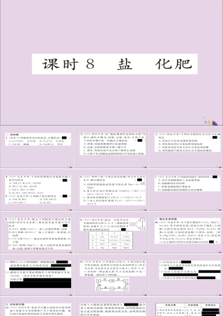 中考化学复习 第一编 教材知识梳理篇 模块一 身边的化学物质 课时8 盐 化肥课件