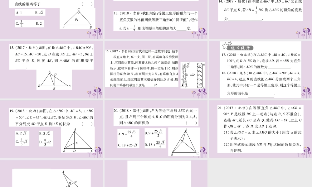 中考数学复习 第一轮 考点系统复习 第4章 三角形 第3节 等腰三角形与直角三角形习题课件
