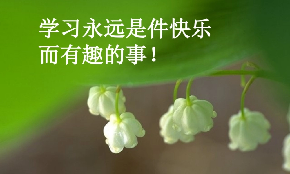 九年级数学上册 相似多边形及其性质课件 沪科版 课件