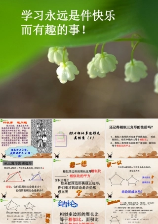 九年级数学上册 相似多边形及其性质课件 沪科版 课件
