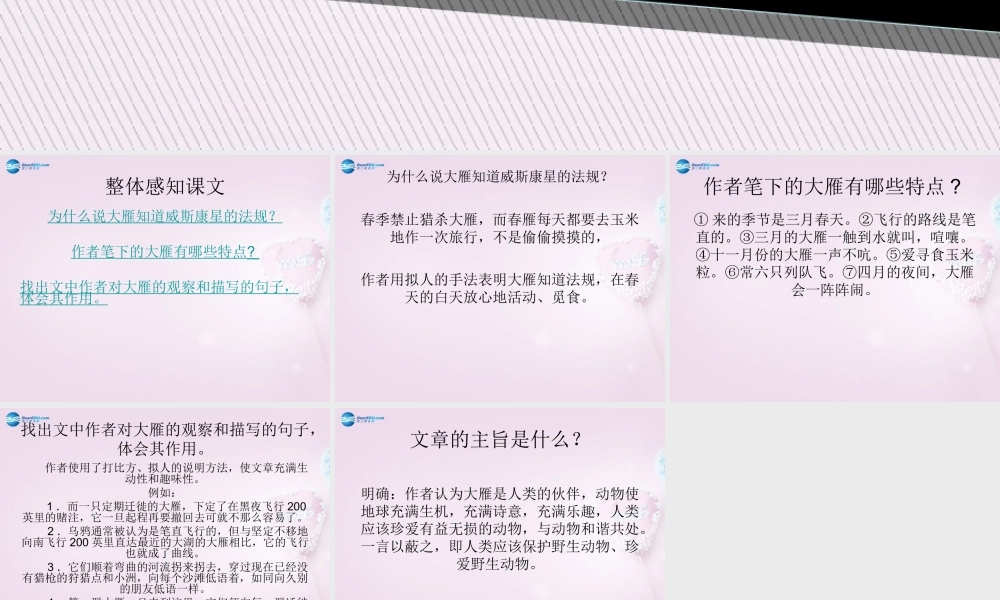 八年级语文下册 14(大雁归来)课件2 新人教版 课件