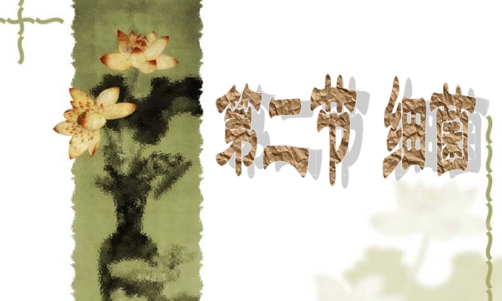 八年级生物 第二节细菌课件 新课标 人教版 课件